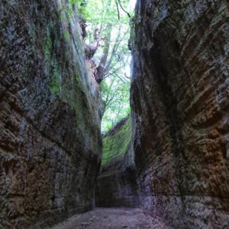 La Casa All'Oliveto بيتيجليانو المظهر الخارجي الصورة