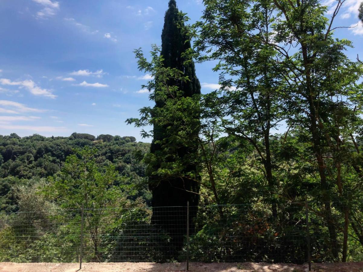 La Casa All'Oliveto بيتيجليانو المظهر الخارجي الصورة