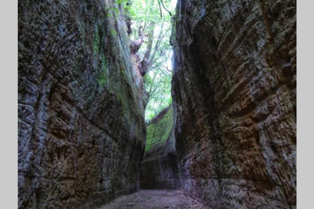La Casa All'Oliveto بيتيجليانو المظهر الخارجي الصورة